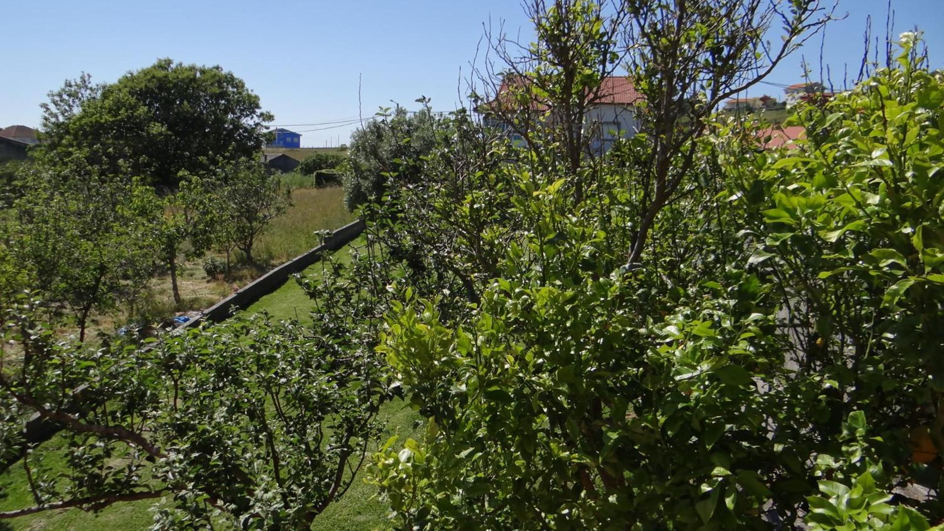 Casa De Lolo En Larino Villa Carnota Exteriör bild
